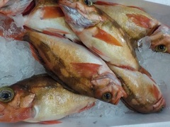 ԃo2016908.JPG