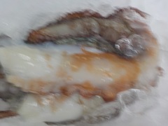 ^R2016917.JPG