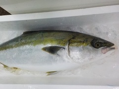 u2016103.JPG