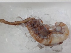 ^R2016108.JPG