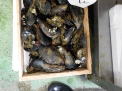 JXL20161011.JPG