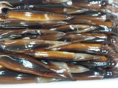 ^CJ20161015.JPG
