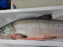 20161017.JPG