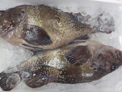 ^]C20161019.JPG