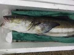 XM20161021.JPG