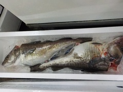 ^L20161027.JPG