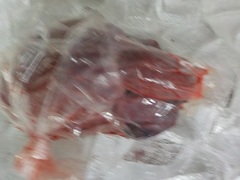 TS20161029.JPG