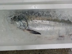 20161101.JPG