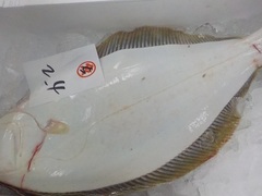 20161108.JPG