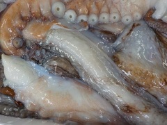 ^R20161121.JPG