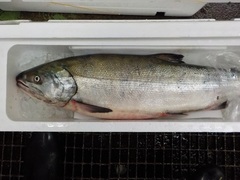 20161121.JPG