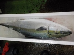 u20161209.JPG