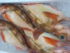 ԃo20170121.JPG