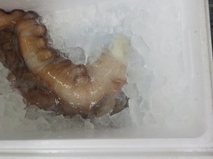 ^R20170210.JPG