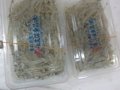 20170216.JPG