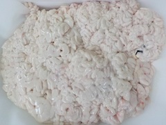 Lq20170217.JPG
