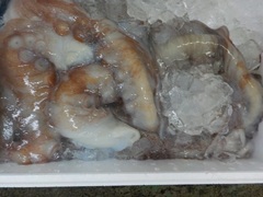 ^R20170302.JPG