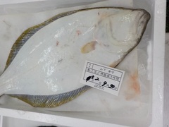 20170303.JPG