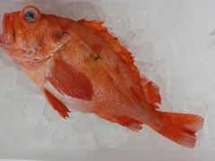 ڔ20170303.JPG