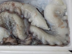 ^R20170311.JPG