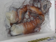 ^R2017424.JPG