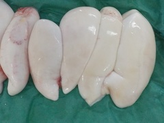 tOq2017424.JPG