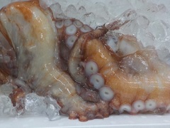 ^R2017629.JPG