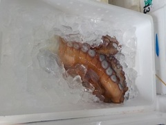^R201778.JPG