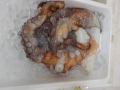 ^R2017919.JPG