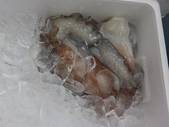 ^R2017928.JPG
