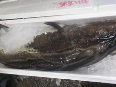 L2017106.JPG