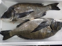 20171104.JPG