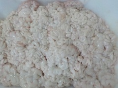Lq20171113.JPG