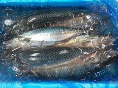 I20171121.JPG