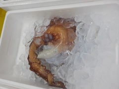 ^R20171125.JPG