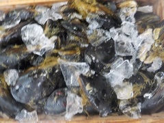 JXL20171128.JPG