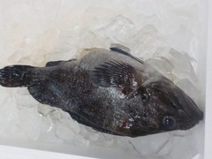 ^]C20171128.JPG
