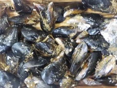 JXL20171130.JPG
