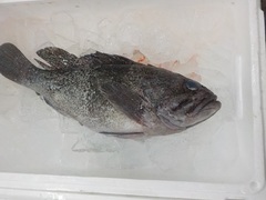^]C120171204.JPG