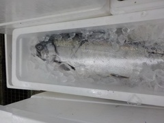 20180105.JPG